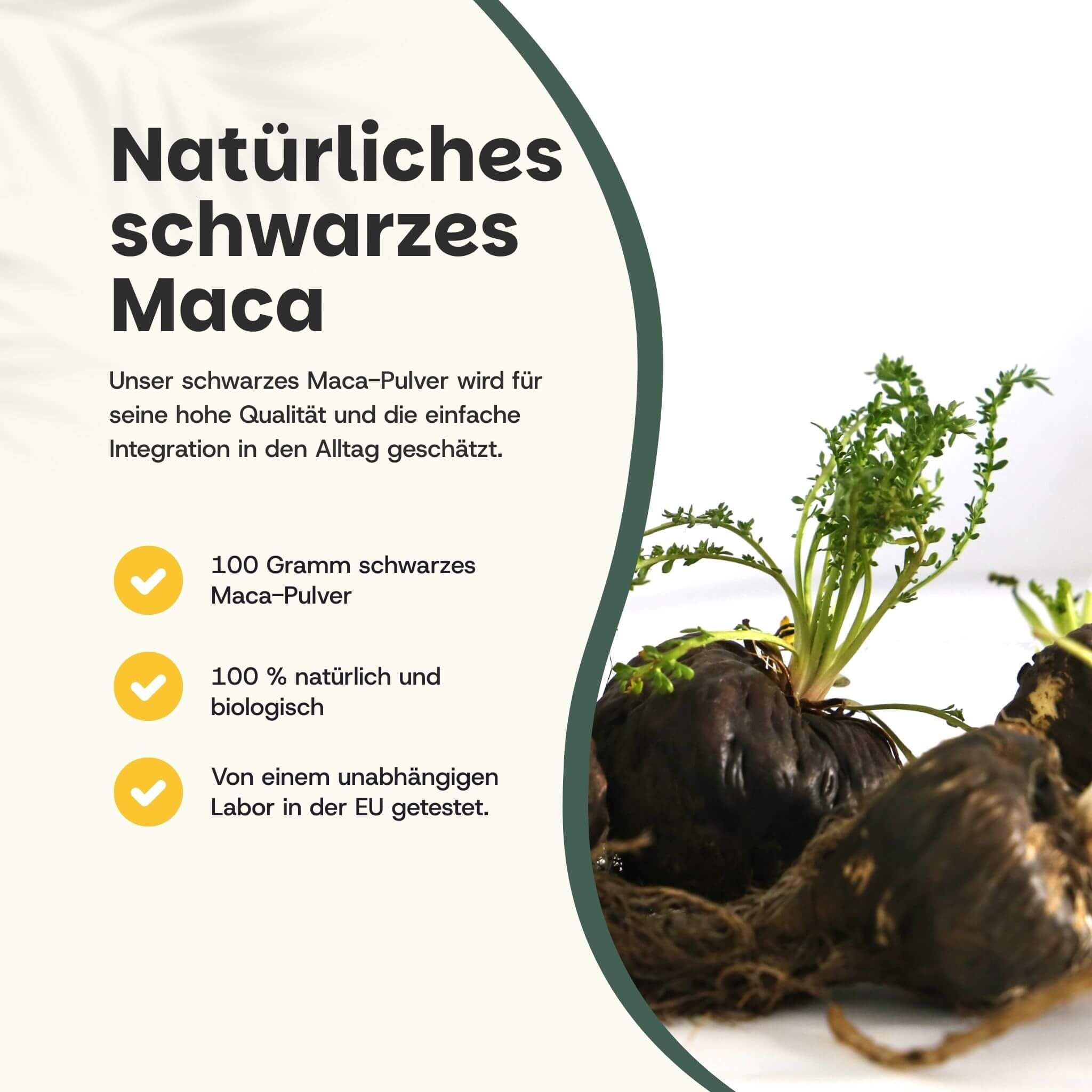 Grafik mit Text: Natürliches schwarzes Maca. 100g Pulver, 100% natürlich & biologisch, Labor getestet.