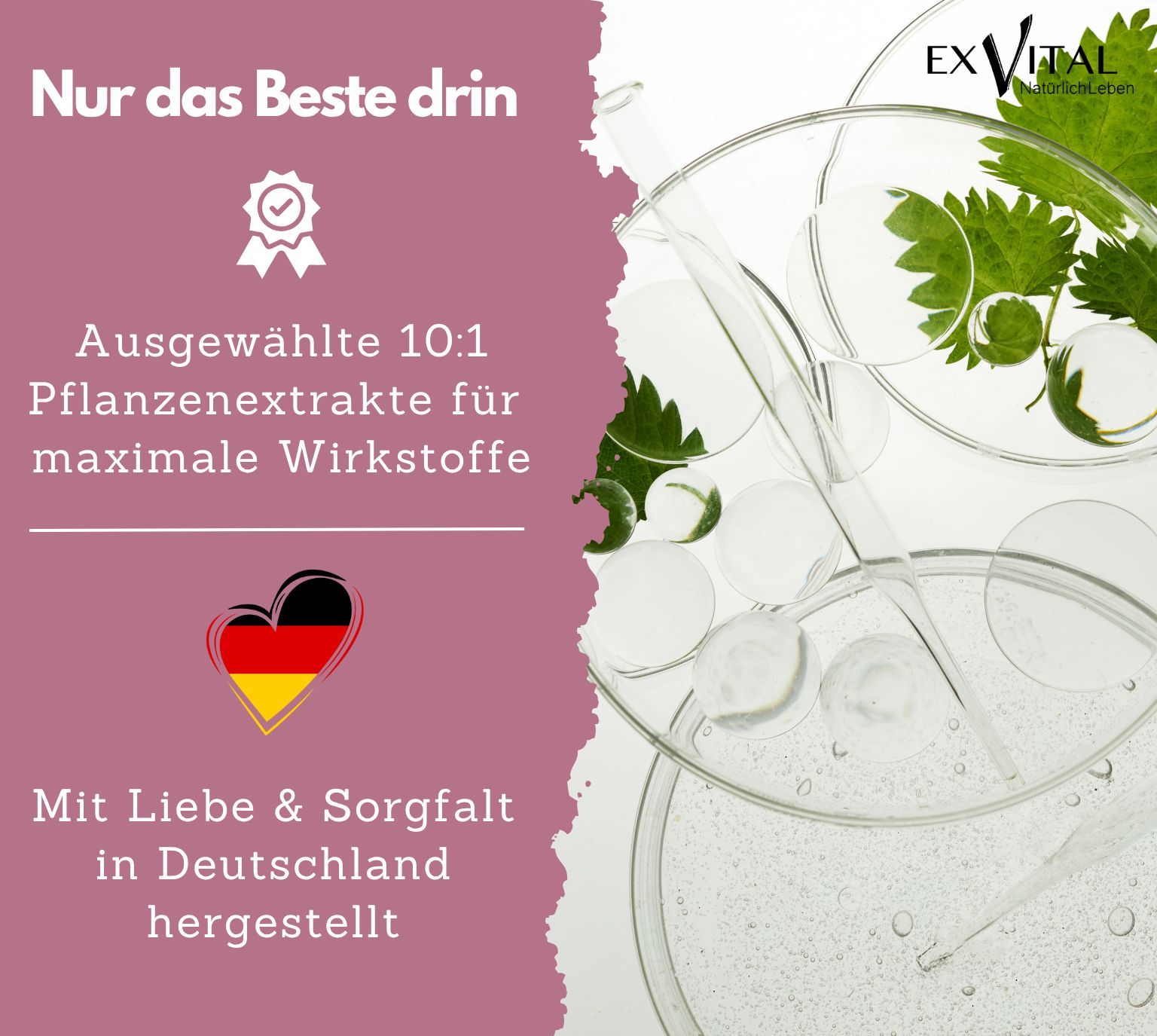 Labor-Utensilien. Text: Ausgewählte 10:1 Pflanzenextrakte für maximale Wirkstoffe. Herz mit Deutschland-Flagge. Hergestellt in Deutschland.
