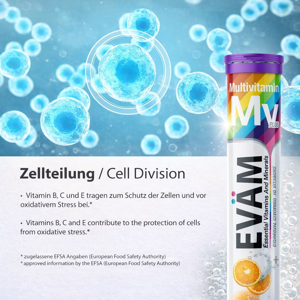 Blaues Hintergrundbild mit Zellen. Neben ihm: Tube EVÄM Multivitamin Brausetabletten. Text: Zellteilung. Vitamine B, C und E.