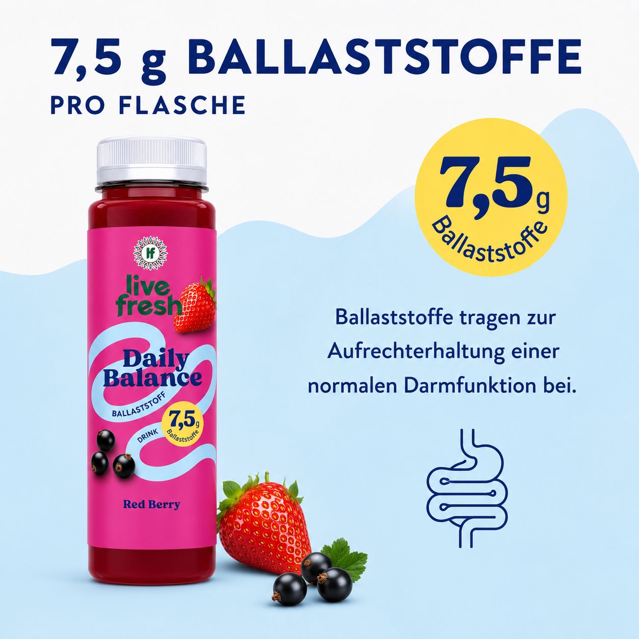 LiveFresh Ballaststoff Drink – Red Berry