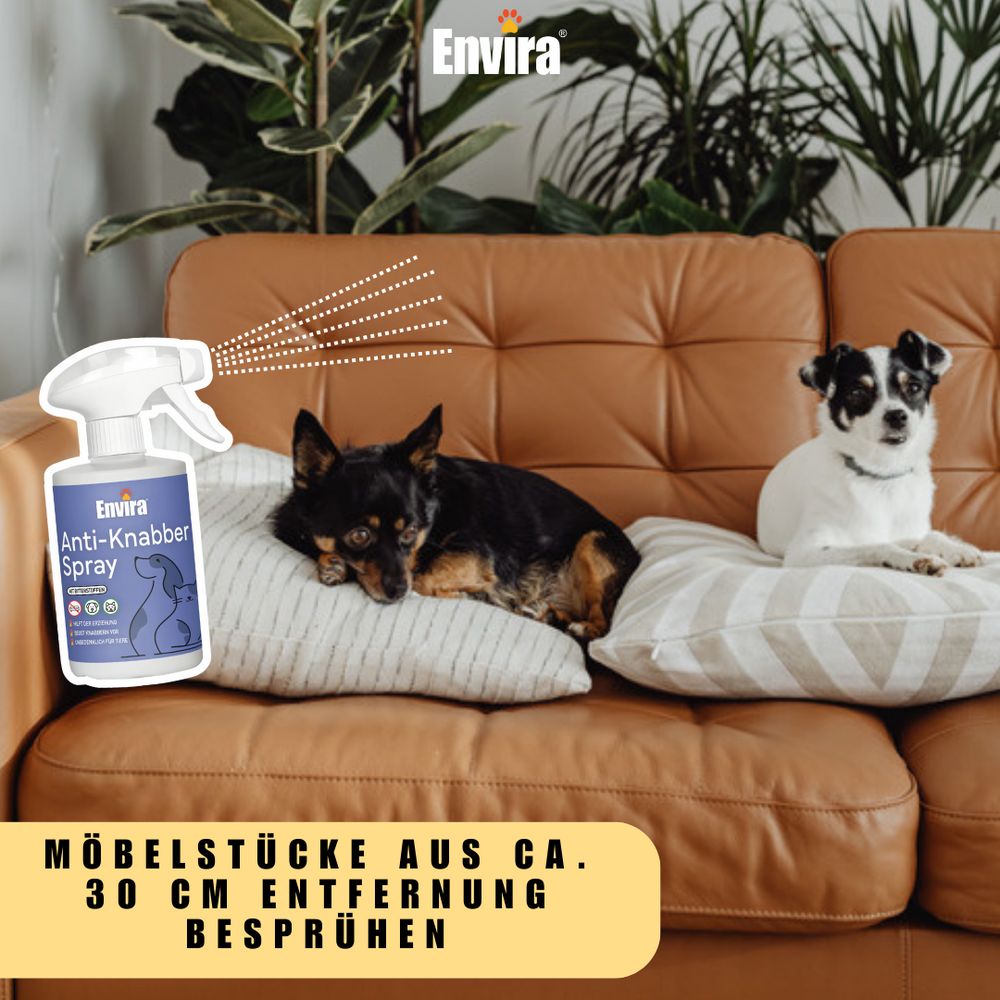 Zwei Hunde auf einem Sofa. "Envira Anti-Knabber Spray"-Flasche im Bild. Text: Möbelstücke aus ca. 30 cm Entfernung besprühen.