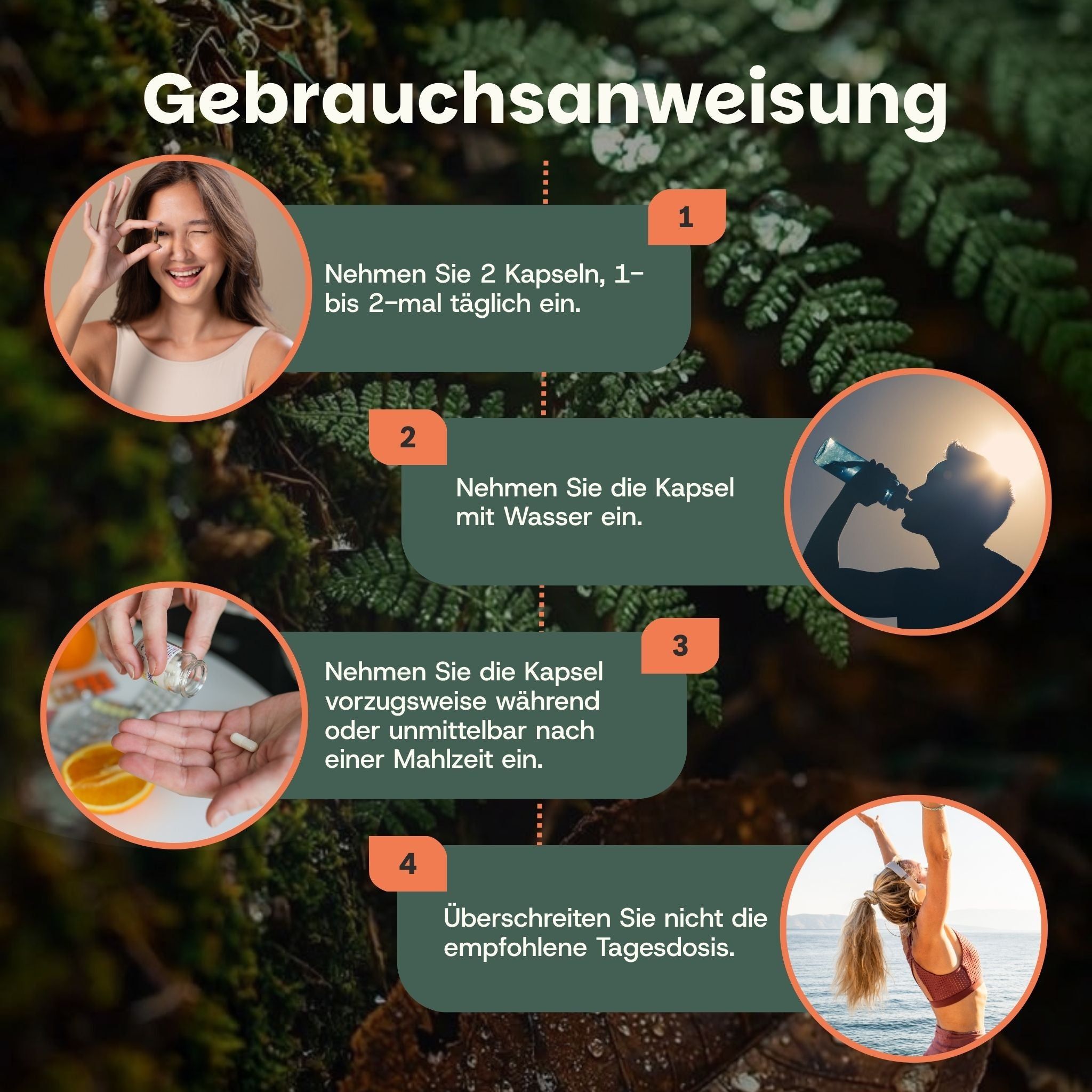 Übersicht der Inhaltsstoffe von Apfelessig-Kapseln, inklusive Menge und Siegeln.