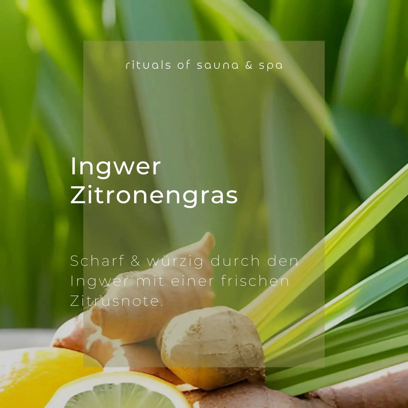 Ingwer und Zitronengras mit Text: Ingwer Zitronengras. Scharf & würzig durch Ingwer mit frischer Zitrusnote. Rituals of sauna & spa.