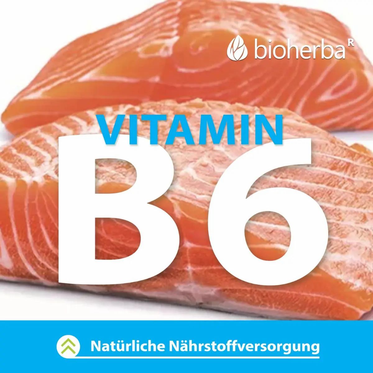 Lachsfilets mit großem Text 'Vitamin B6' und Bioherba Logo. Natürliche Nährstoffversorgung.