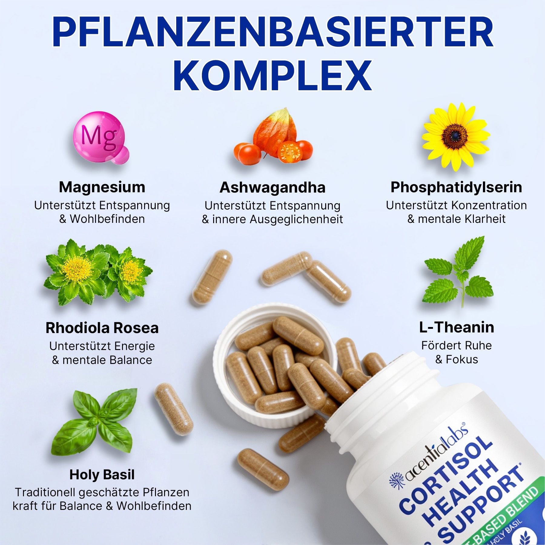 ALIVER Cortisol Support Unterstützung Komplex Ashwagandha Magnesium Kapseln