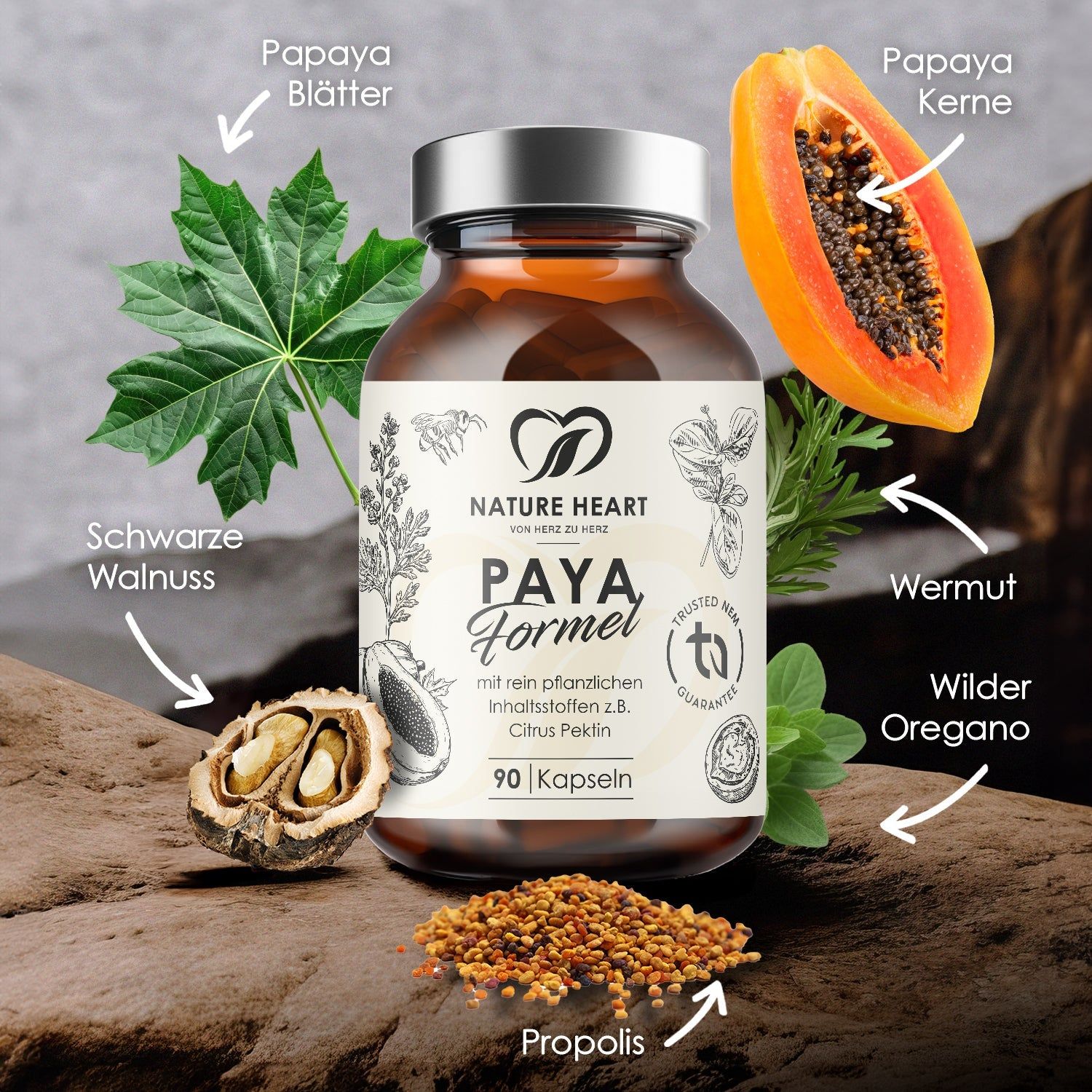 Paya Formel Flasche mit Zutaten: Papaya, Walnuss, Wermut, Oregano, Propolis. 90 Kapseln.