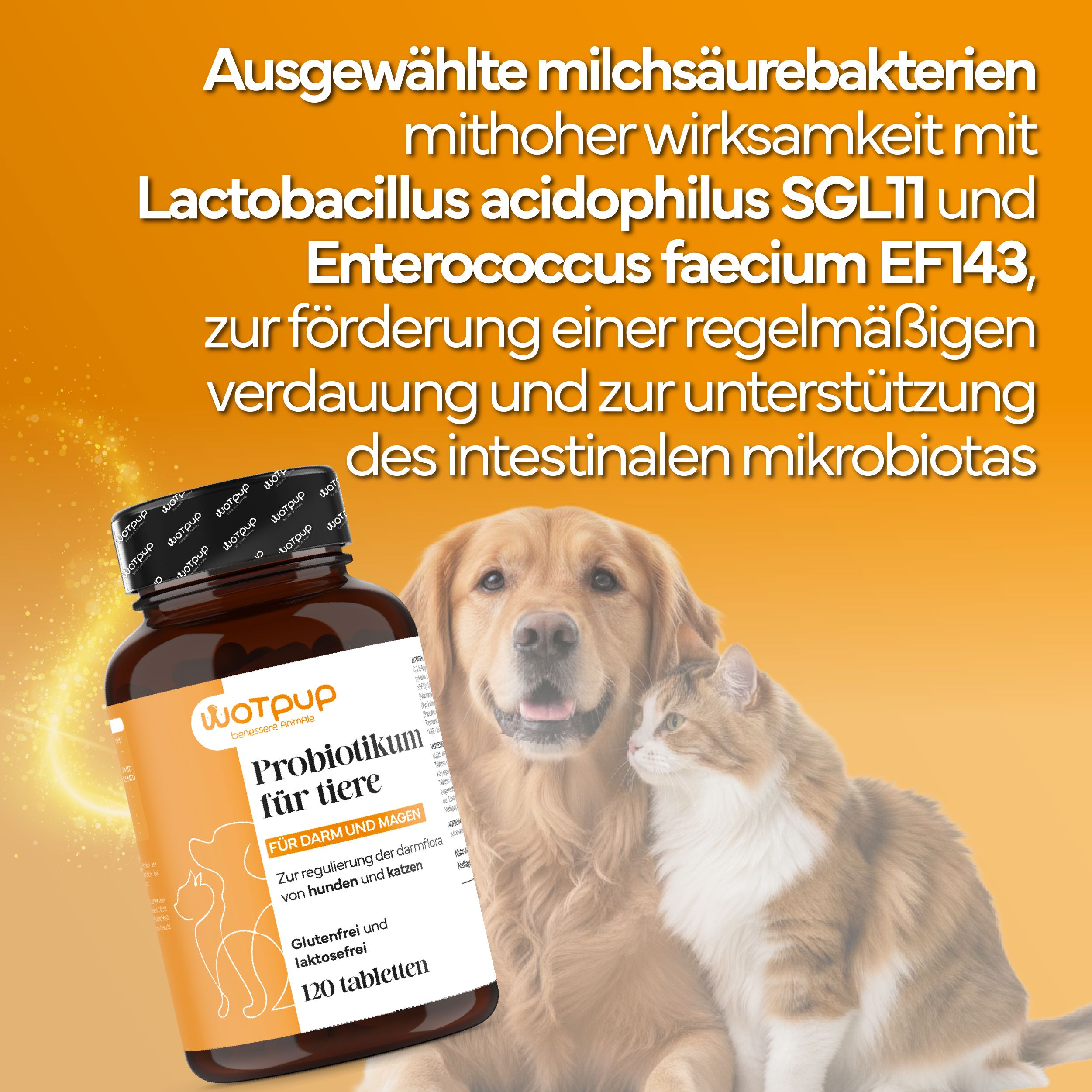 Braune Tablettenflasche mit Aufschrift. Hund und Katze im Hintergrund. Text: Probiotikum für Tiere, für Darm und Magen.