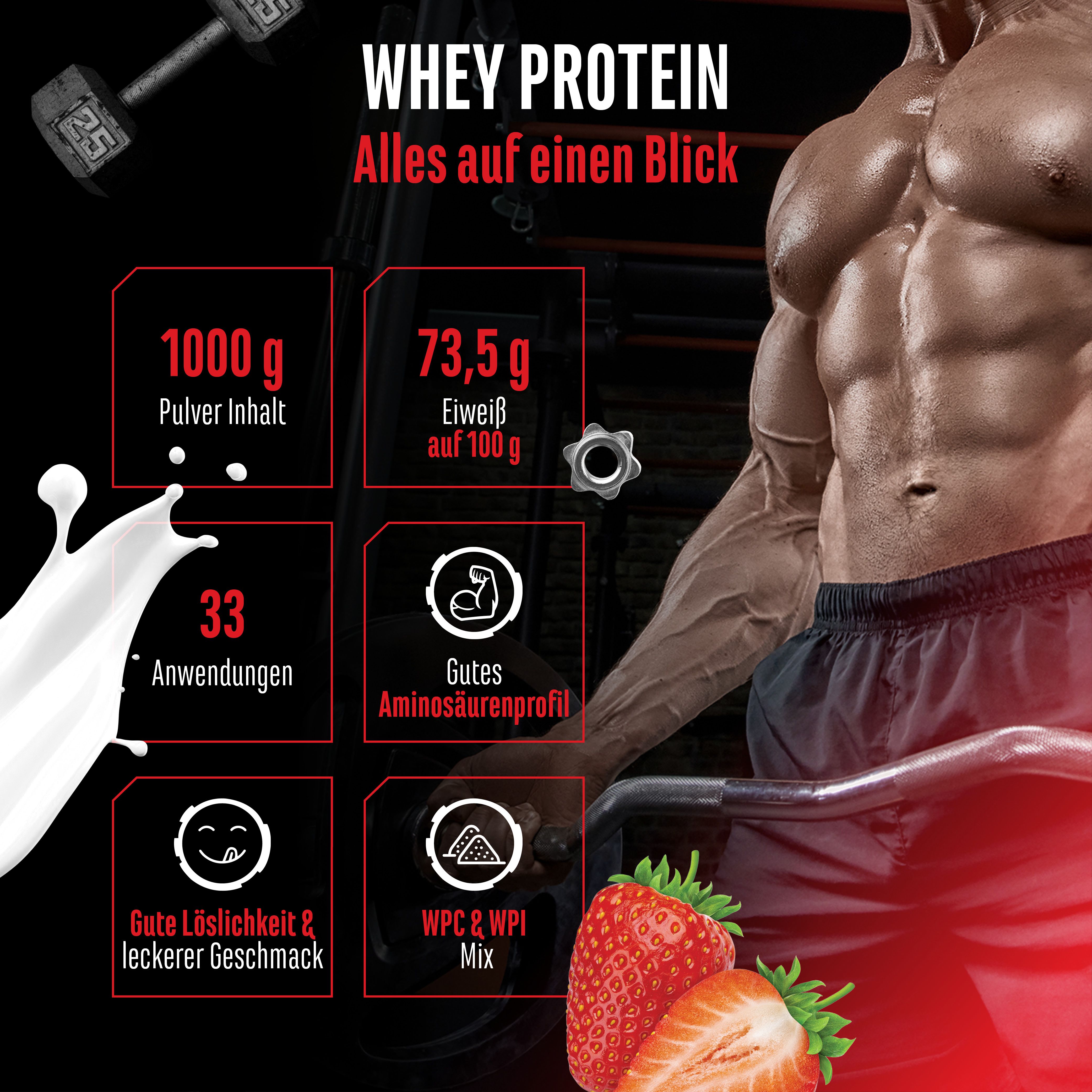 Werbebild mit muskulösem Mann. Text: "WHEY PROTEIN". Grafiken mit Informationen: 1000g, 73,5g Eiweiß, 33 Anwendungen, Aminosäurenprofil.