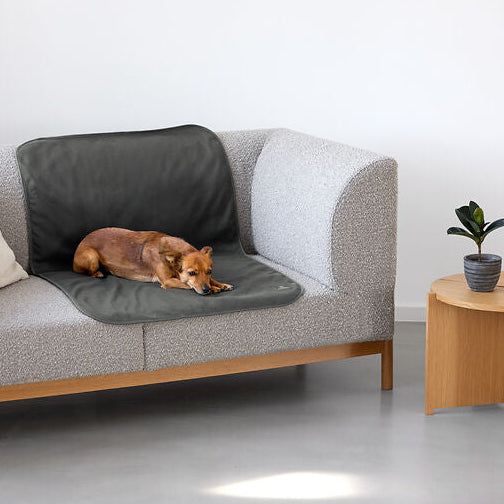 Palopa Hundedecke Schutzmatte Benti Anthrazit