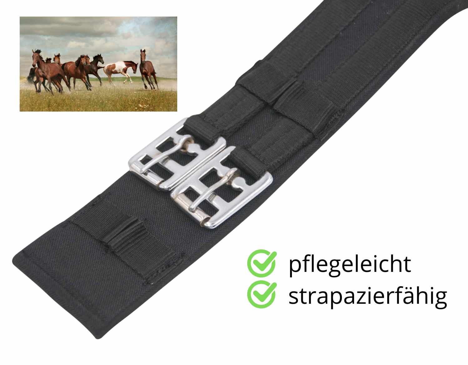 Schwarzer Dressur Kurzgurt mit Schnallen. Text: Pflegeleicht, strapazierfähig. Bild von Pferden auf einer Wiese.