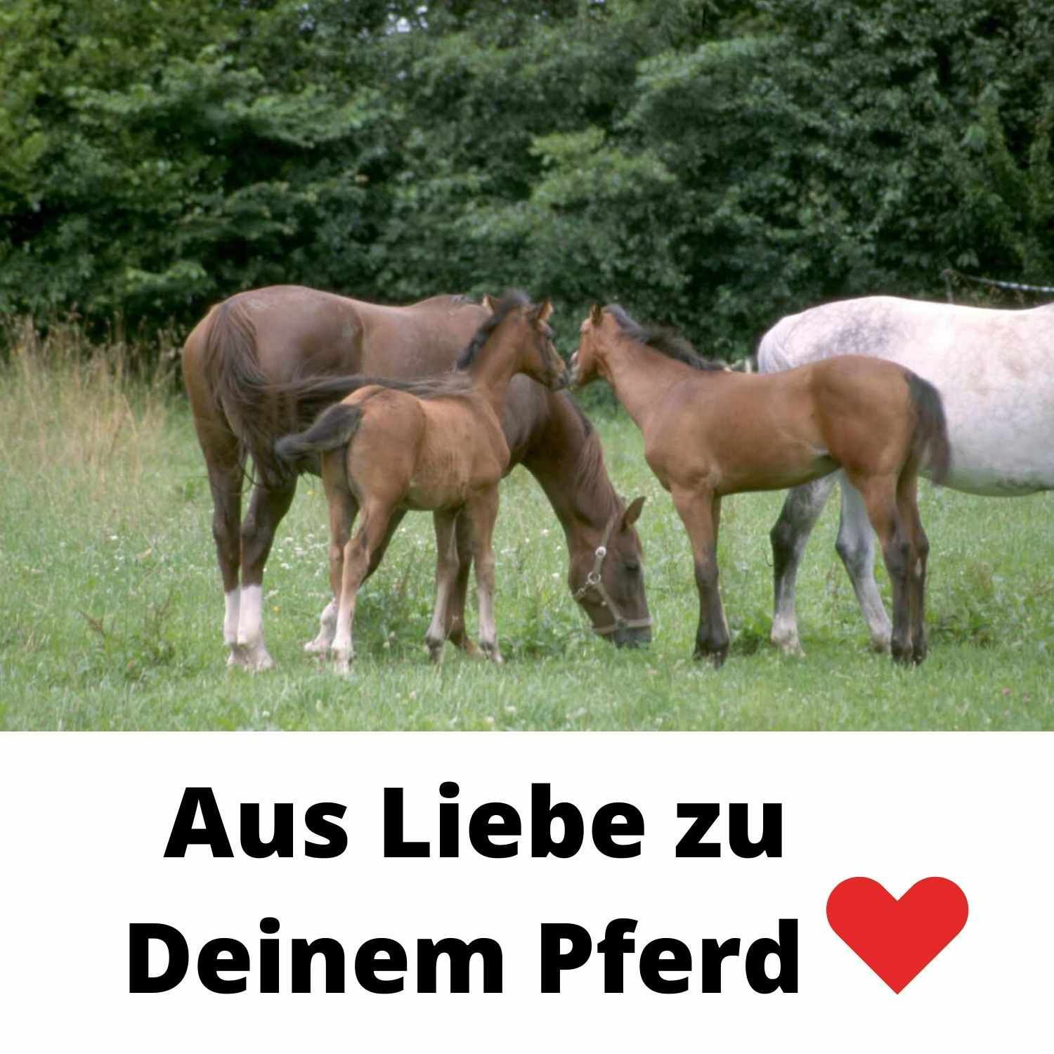 AMKA Heusack mit Auffang-Tasche
