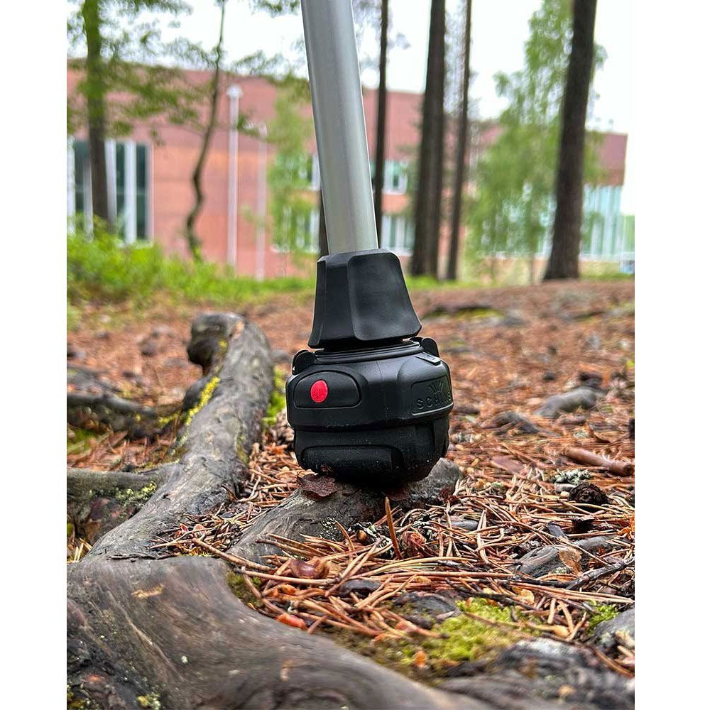 Schwarzer Krückenfuß mit rotem Knopf. Nahaufnahme im Freien, auf Wurzeln und Blättern.